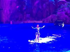 -芜湖新华联大白鲸海洋公园