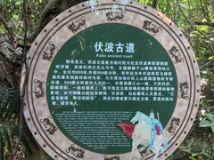 -海南铜鼓岭景区