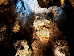 -怀托摩萤火虫洞