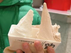 -野人先生现做冰淇淋(贵阳万象汇店)