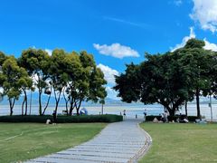 -深圳湾公园(南山区)