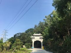 -顺峰山公园