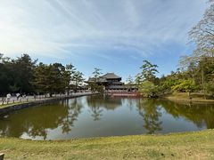 -奈良公园