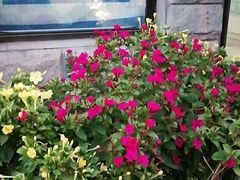 -世龙世家灰指甲鸡眼脚气甲沟炎跖疣护理(通州店)