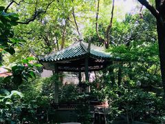 景点-华山儿童公园