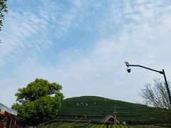 -听风阁农家私房菜茶楼(龙坞店)
