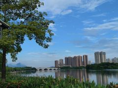 -飞来湖湿地公园