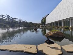 -罗红摄影艺术馆