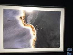 -罗红摄影艺术馆