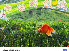 -北京市劳动人民文化宫(太庙)