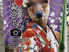 -奈良公园
