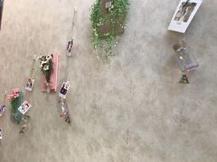 -宠爱国际动物医院· 猫科· 外科·中兽医(长白店)