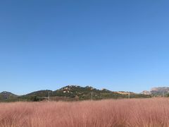-西海岸生态观光园