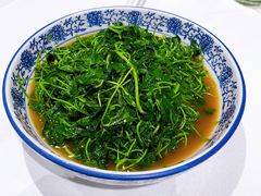 酒香金花菜-老阊门菜馆(山塘街店)