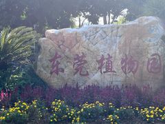-东莞植物园