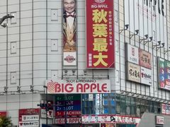 -秋叶原电器街