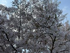 -杭州少年儿童公园