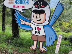 -南京老山国家森林公园