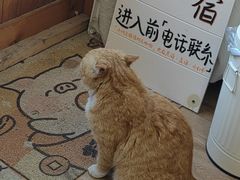 -小时光咖啡馆(开森度假森林店)