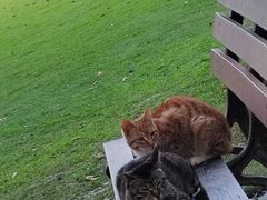 -上海市龙华烈士陵园