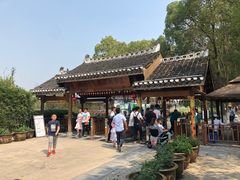 -洪湖生态旅游区