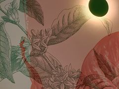 -LAVAZZA拉瓦萨咖啡(中航城君尚购物中心店)