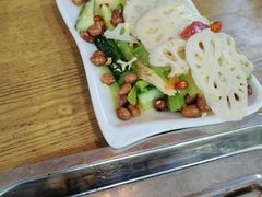 -福缘厚饺子