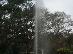 -九龙公园
