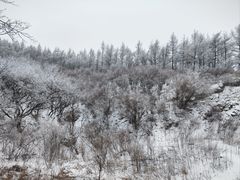 -妙峰山风景名胜区