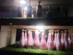 -JK奇积发型连锁机构