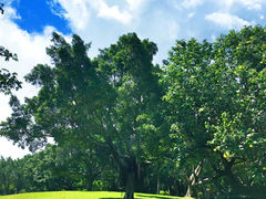 -白鹭洲公园