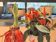 -自由生长植物工作室(深港花卉中心店)