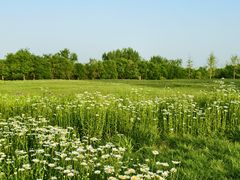 -汉长安城未央宫国家考古遗址公园