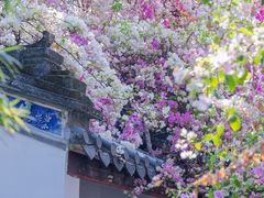 -深圳国际园林花卉博览园