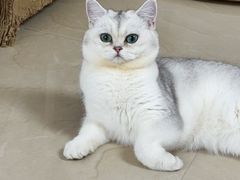 -美迦爱-牙专科·兔科·骨科诊疗中心(北苑店)