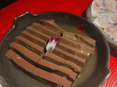 -谭鸭血老火锅(万象九宜城店)