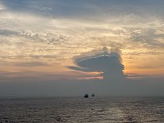 -西归浦每天偶来市场