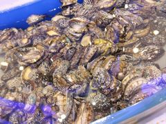 -澜悦港海鲜体验主题餐厅