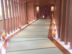 -重庆南山海昌汤都