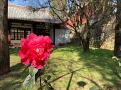 -昆明市金殿名胜区