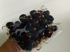 -广州四季酒店