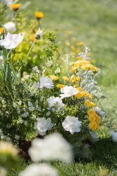 -美薇亭婚礼顾问