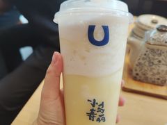-春丽小马(济南恒隆广场店)