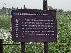 -盐城丹顶鹤湿地生态旅游区