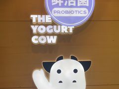 -一只酸奶牛(双流万达广场店)