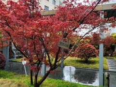 -上海爱以德护理院·康复(宝山院)