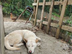 -三门江国家森林公园