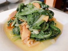 豆筋小白菜-小街天府