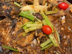 -老板恋上鱼(印象城店)