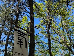 -六里坪国家森林公园